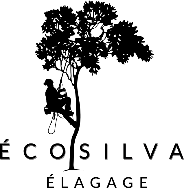 Écosilva Élagage