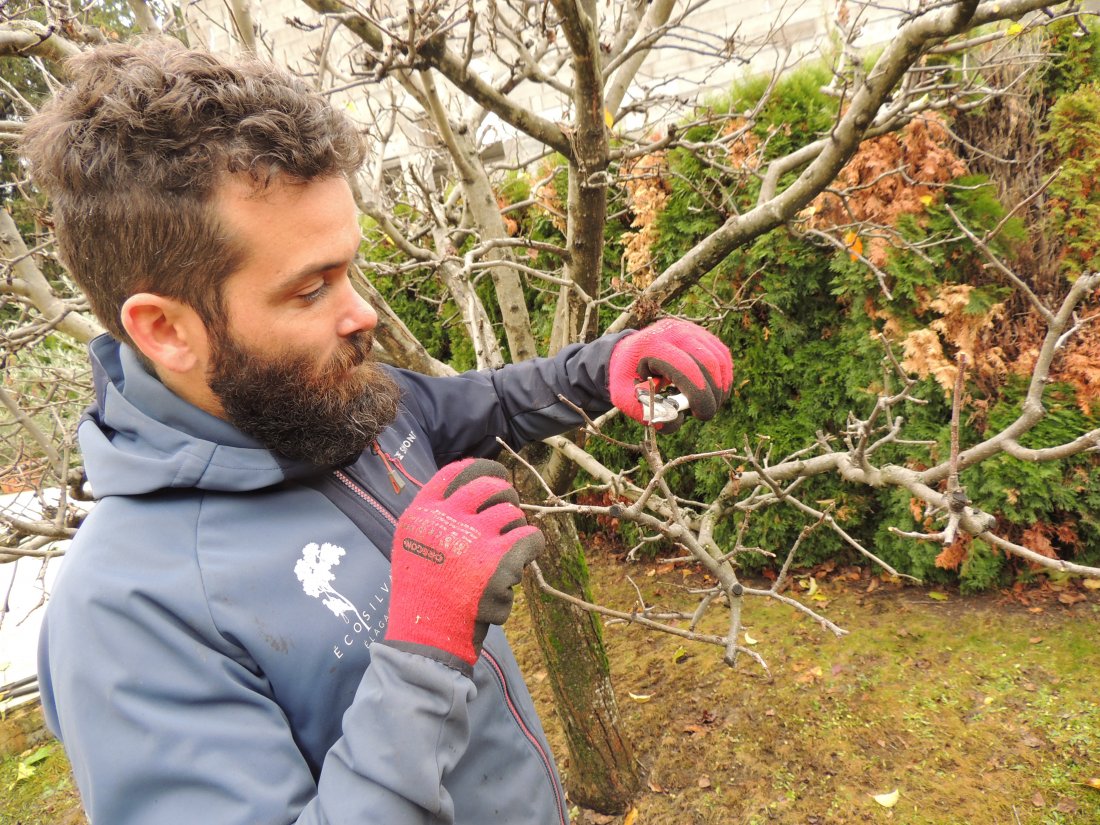 Entretien d'espaces verts